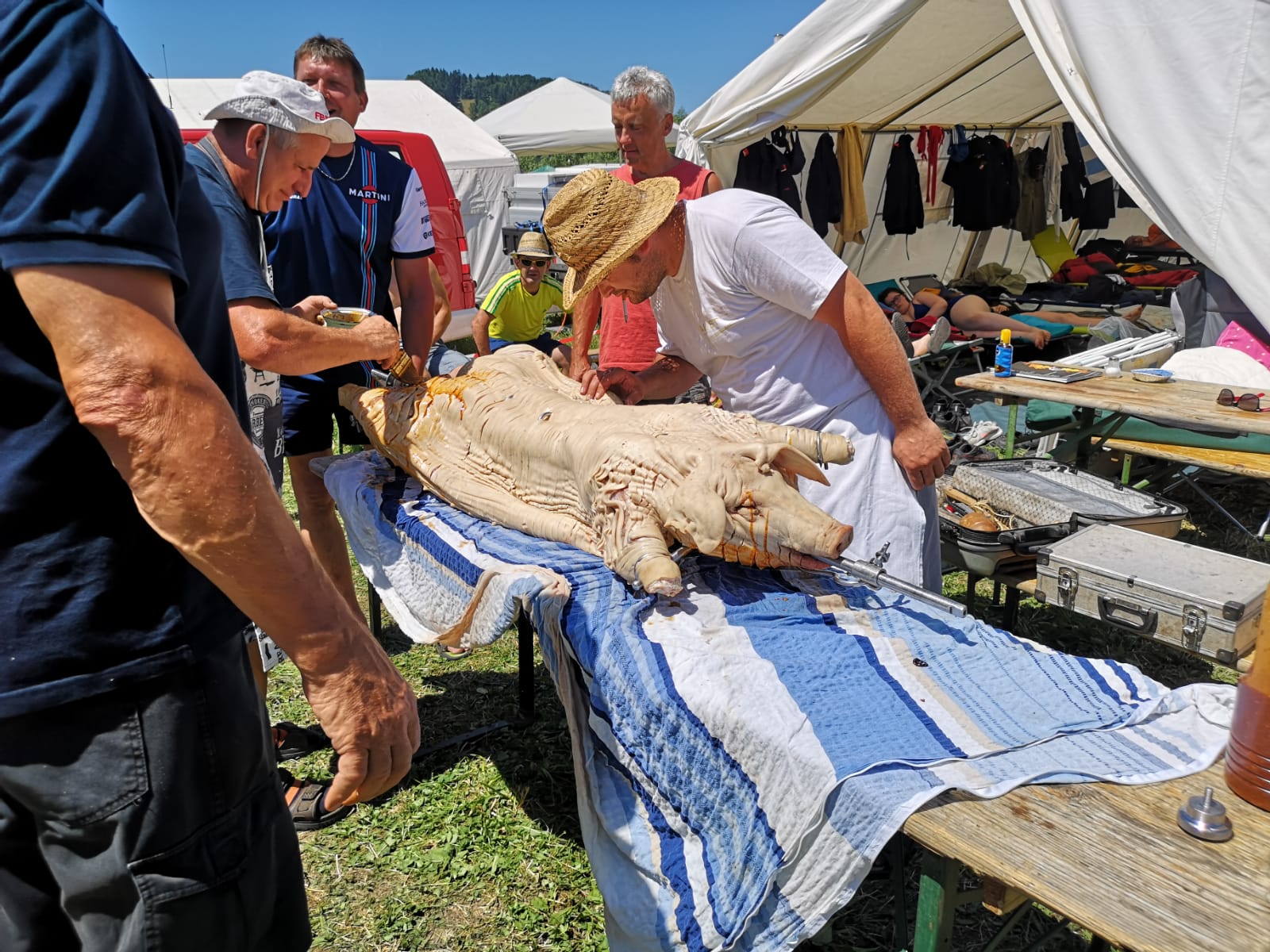 Landesfeuerwehrbewerb Traisen, 28.06.2019 -