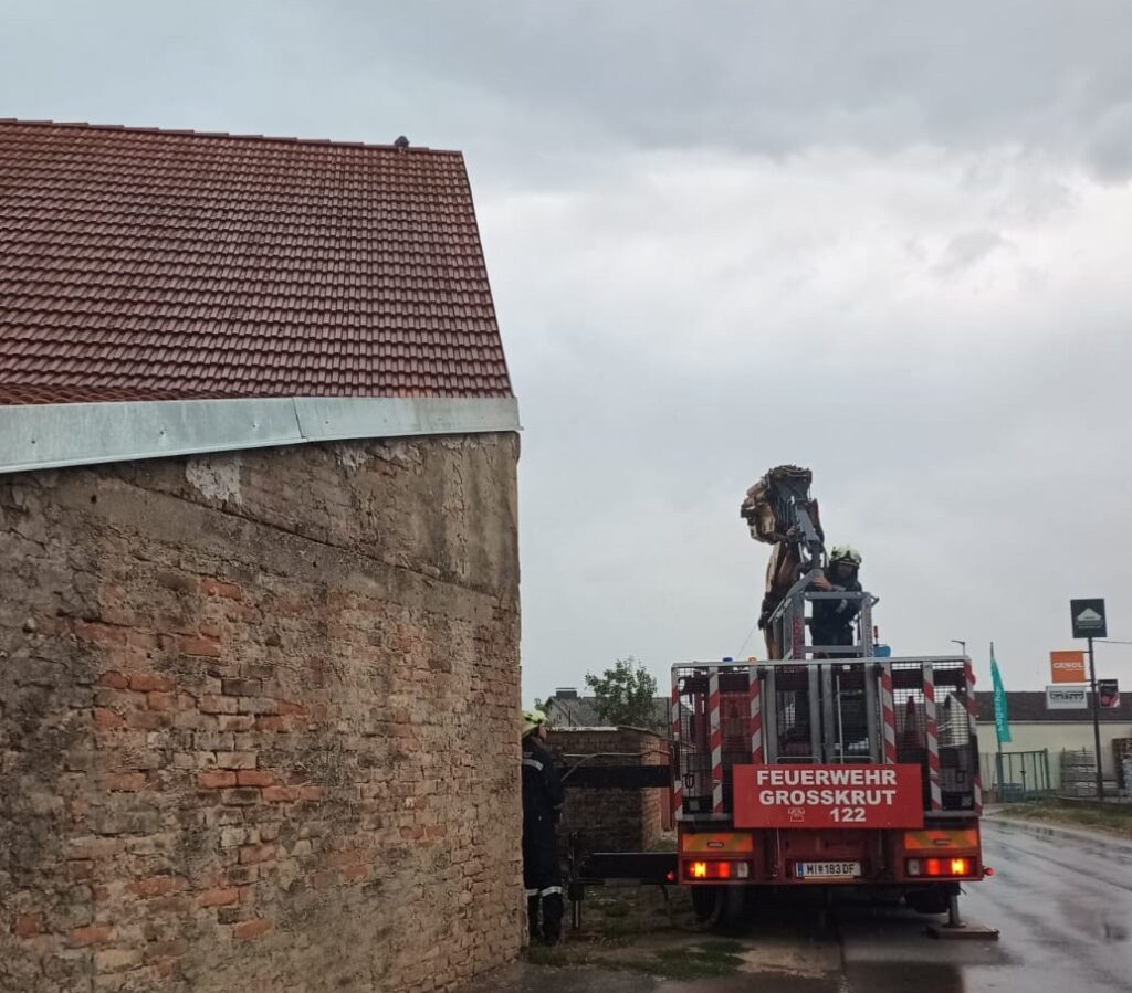 Tierrettung -Katze auf Dach – 2026-08-25